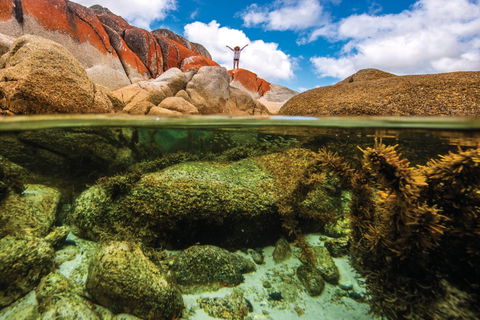 Bay Of Fires - Accommodation BNB 0