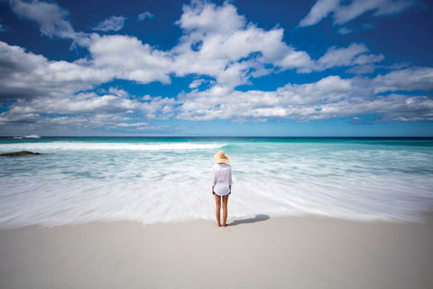 Bay Of Fires - Accommodation BNB 1