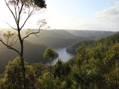 Berowra Valley National Park - Accommodation BNB 0