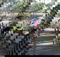 Bidgee Riverside Trail  - Hay Nature Walk - Accommodation BNB