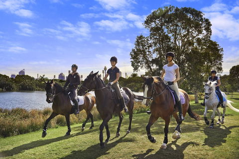 Centennial Parklands - Accommodation BNB 1