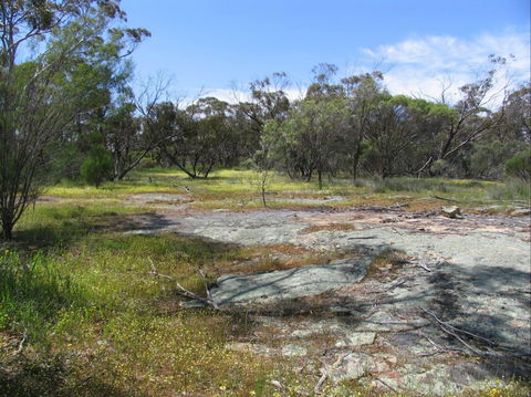 Christmas Rock Walk - Accommodation BNB 0