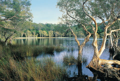 Cooloola, Great Sandy National Park - Accommodation BNB 1