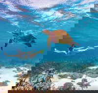 Coral Bay - Accommodation BNB