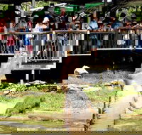 Crocodylus Park and Zoo - Accommodation BNB