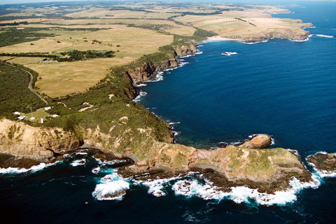 Fingal Beach Walk - Accommodation BNB 0