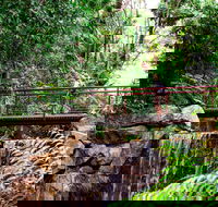 George Brown Darwin Botanic Gardens - Accommodation BNB
