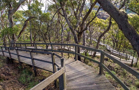 Governor Summit (Corrunbral Borawah) Walking Track - Accommodation BNB 0