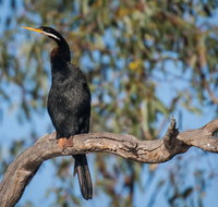 Greenough River Nature Trail - Accommodation BNB