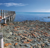 Hamelin Pool Stromatolites - Accommodation BNB