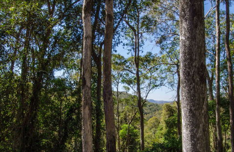 Hidden Treasure Picnic Area - Accommodation BNB 0