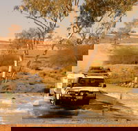 Innamincka Regional Reserve - Accommodation BNB