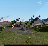 Jim Salmon  Wetland Education Site - Accommodation BNB