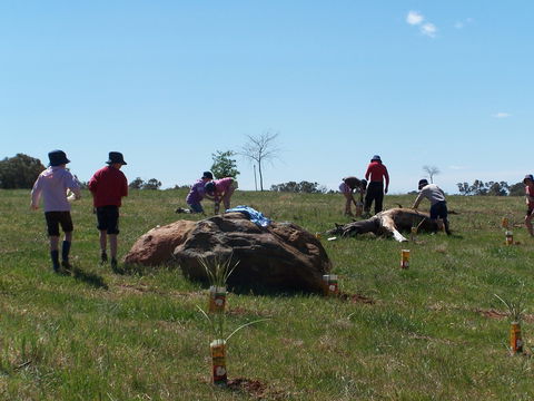 Jim Salmon  Wetland Education Site - Accommodation BNB 0