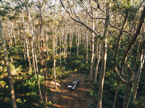 Leeuwin-Naturaliste National Park - Cowaramup - Accommodation BNB 0