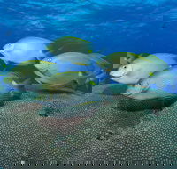 Lodestone Reef - Accommodation BNB
