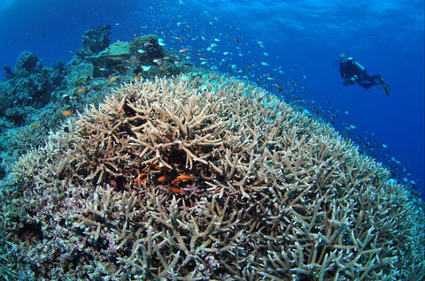 Lodestone Reef - Accommodation BNB 1
