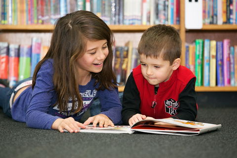 Maitland City Library - Accommodation BNB 0