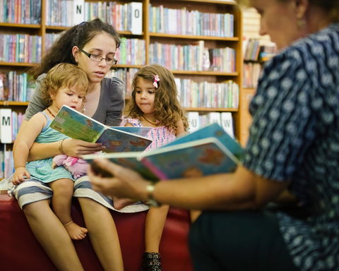Maitland City Library - Accommodation BNB 2