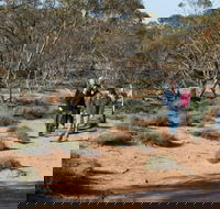 Mallee Stop walking track - Accommodation BNB
