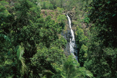 Mapleton Falls National Park - Accommodation BNB 0