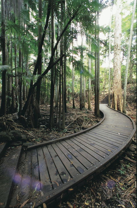 Mapleton Falls National Park - Accommodation BNB 1
