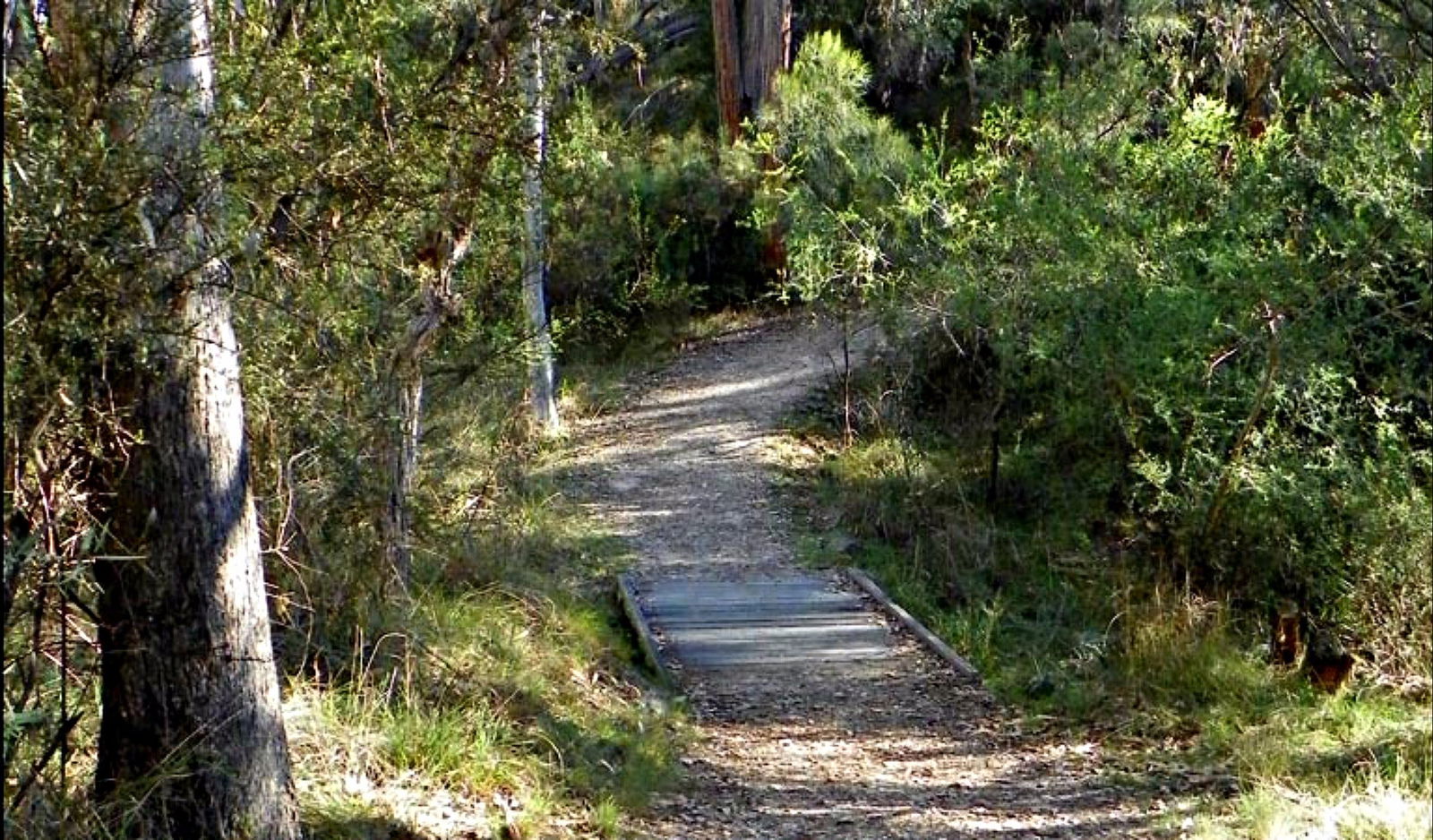 Dangarsleigh NSW Accommodation BNB