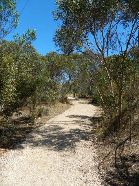 Meningie Lions Walking Trail - Accommodation BNB 2