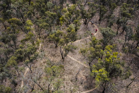 Mountain Bike Trails Deniliquin - Accommodation BNB 1
