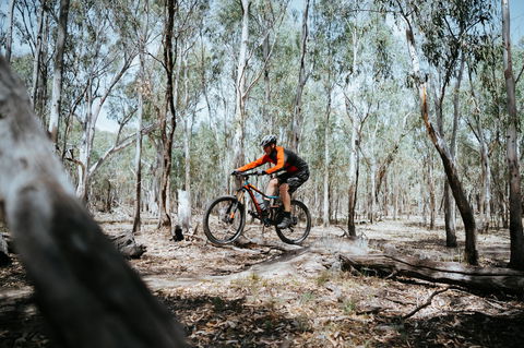 Mountain Bike Trails Deniliquin - Accommodation BNB 2