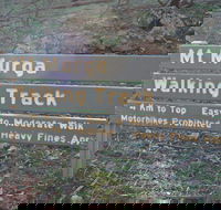 Mount Murga Walking Track - Accommodation BNB