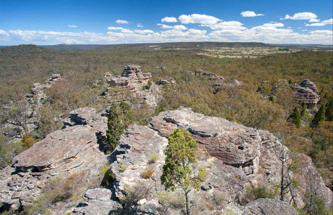 Munghorn Gap Nature Reserve - Accommodation BNB 0