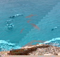 Nullarbor National Park - Accommodation BNB