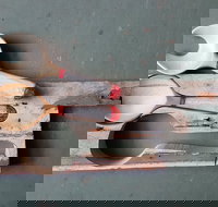 Phoenix Creations - Accommodation BNB