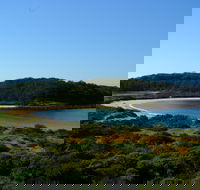 Snorkelling Broulee Island - Accommodation BNB