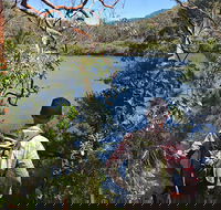 Sphinx Memorial to Bobbin Head Loop Track - Accommodation BNB