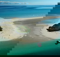 Turtle Discovery - Accommodation BNB