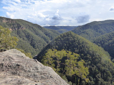 Vale Of Avoca - Accommodation BNB 0