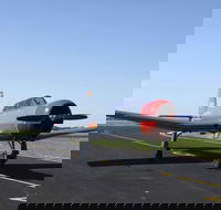 Warrior Warbirds - Open - Accommodation BNB
