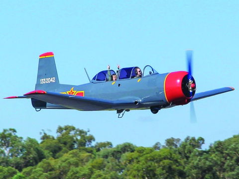 Warrior Warbirds - Open - Accommodation BNB 1