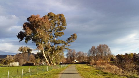 Adelong Falls Walk - Accommodation BNB 0