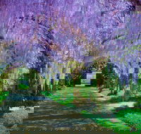 Alowyn Gardens and Nursery - Accommodation BNB