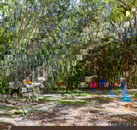 Ballina Disc Golf - Accommodation BNB