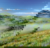 Bega - Accommodation BNB