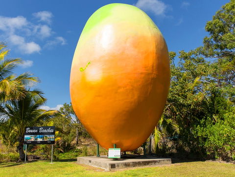 Big Mango - Accommodation BNB 0