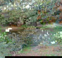 Birdwing Butterfly Walk - Accommodation BNB