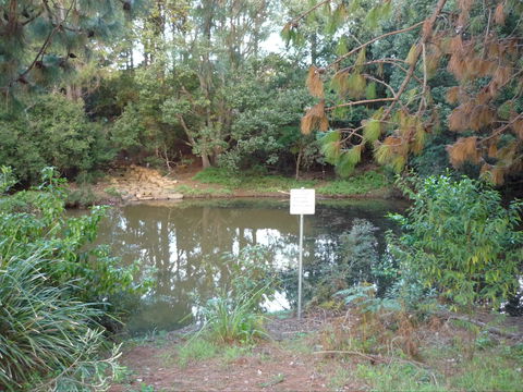 Birdwing Butterfly Walk - Accommodation BNB 0