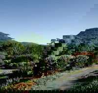 Botanic Garden Wollongong - Accommodation BNB