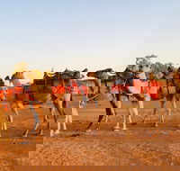 Broken Hill Camels - Accommodation BNB