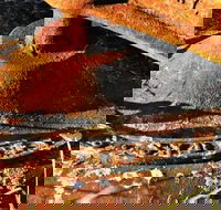 Cattai Homestead and Historic Farm Buildings - Accommodation BNB